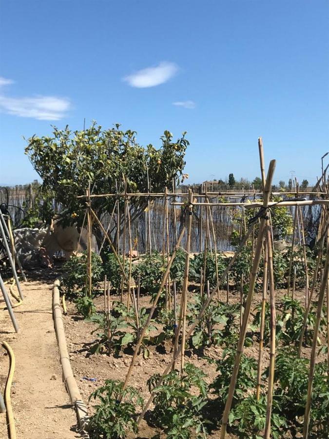 Caseta Del Chato Deltebre Eksteriør bilde